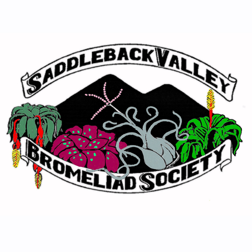 The Saddleback Valley Bromeliad Society